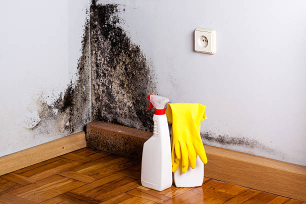 Water damage restoration experts in Riverview, DE